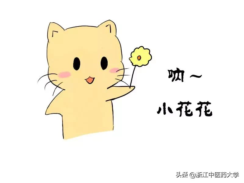 叮！ZCMUers期末通知书到了！（内附专属表情包）