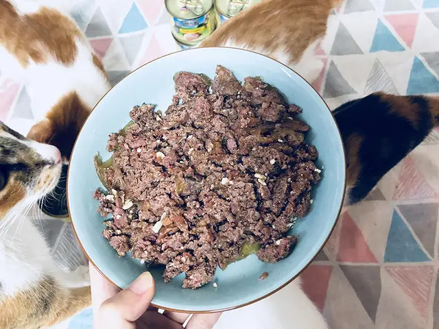 猫咪呕吐不吃猫粮是什么原因,猫咪呕吐怎么判断是猫粮的问题