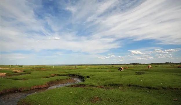 吉尼斯世界纪录最大的淡水鱼,世界吉尼斯记录最大的鱼