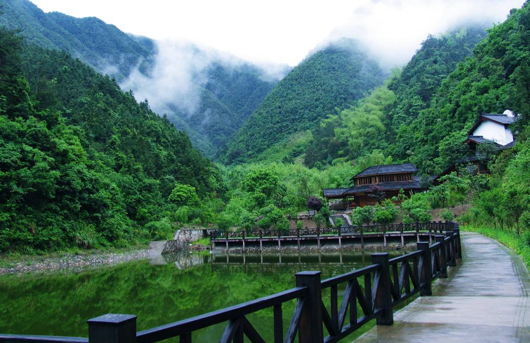 杭州常住人口2022总人数统计,杭州常住人口排名