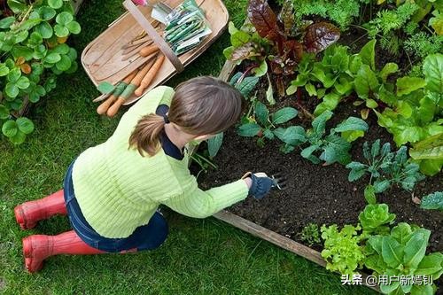 喜欢一个人得不到又放不下怎么办,喜欢她却得不到她