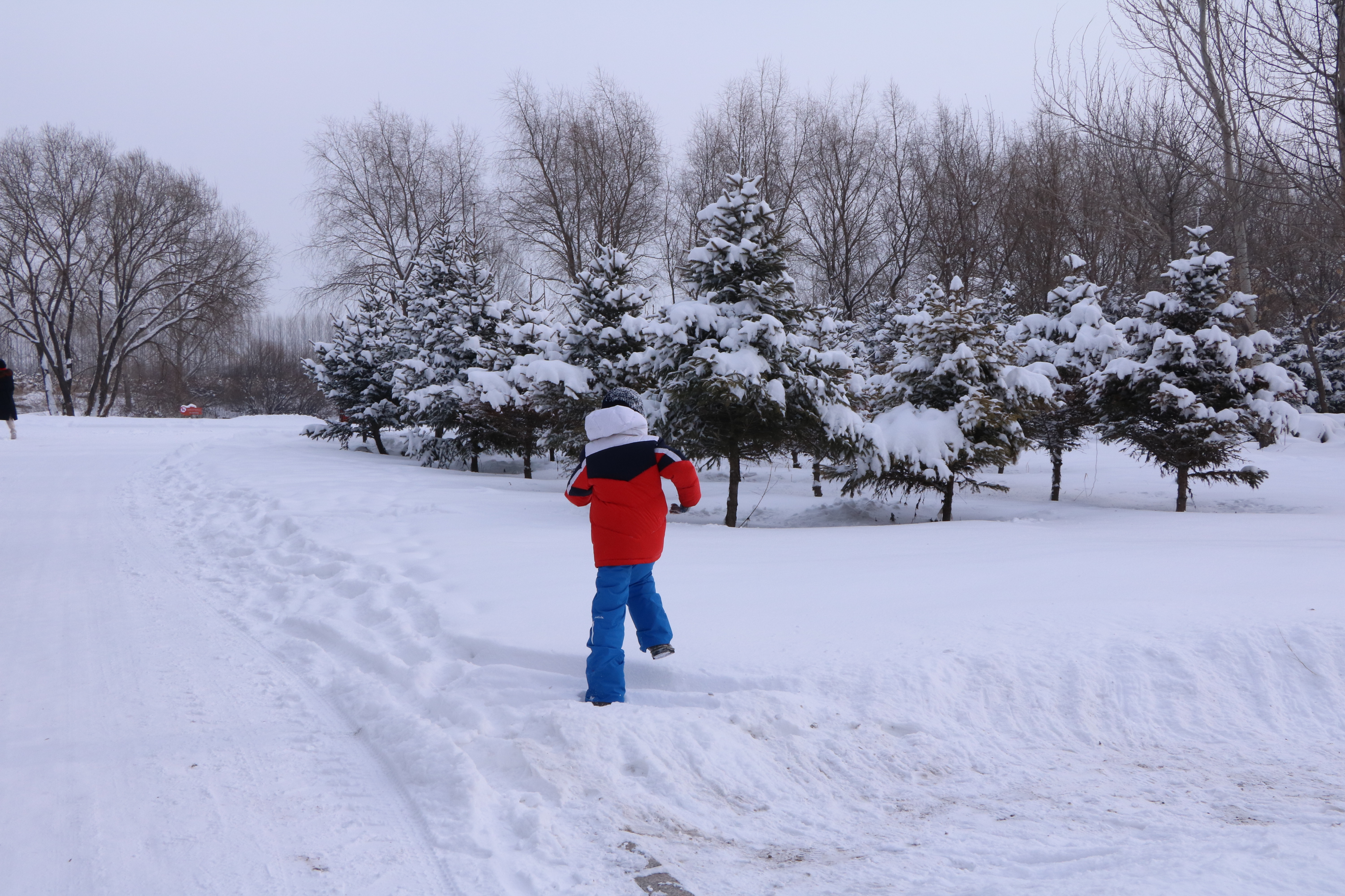 伏尔加庄园和俄罗斯风情小镇,伏尔加庄园浪漫的俄式冬季
