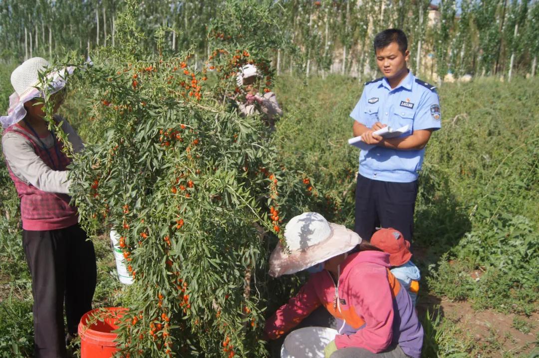 公安局落实六稳六保的举措,公安部六个严防具体措施