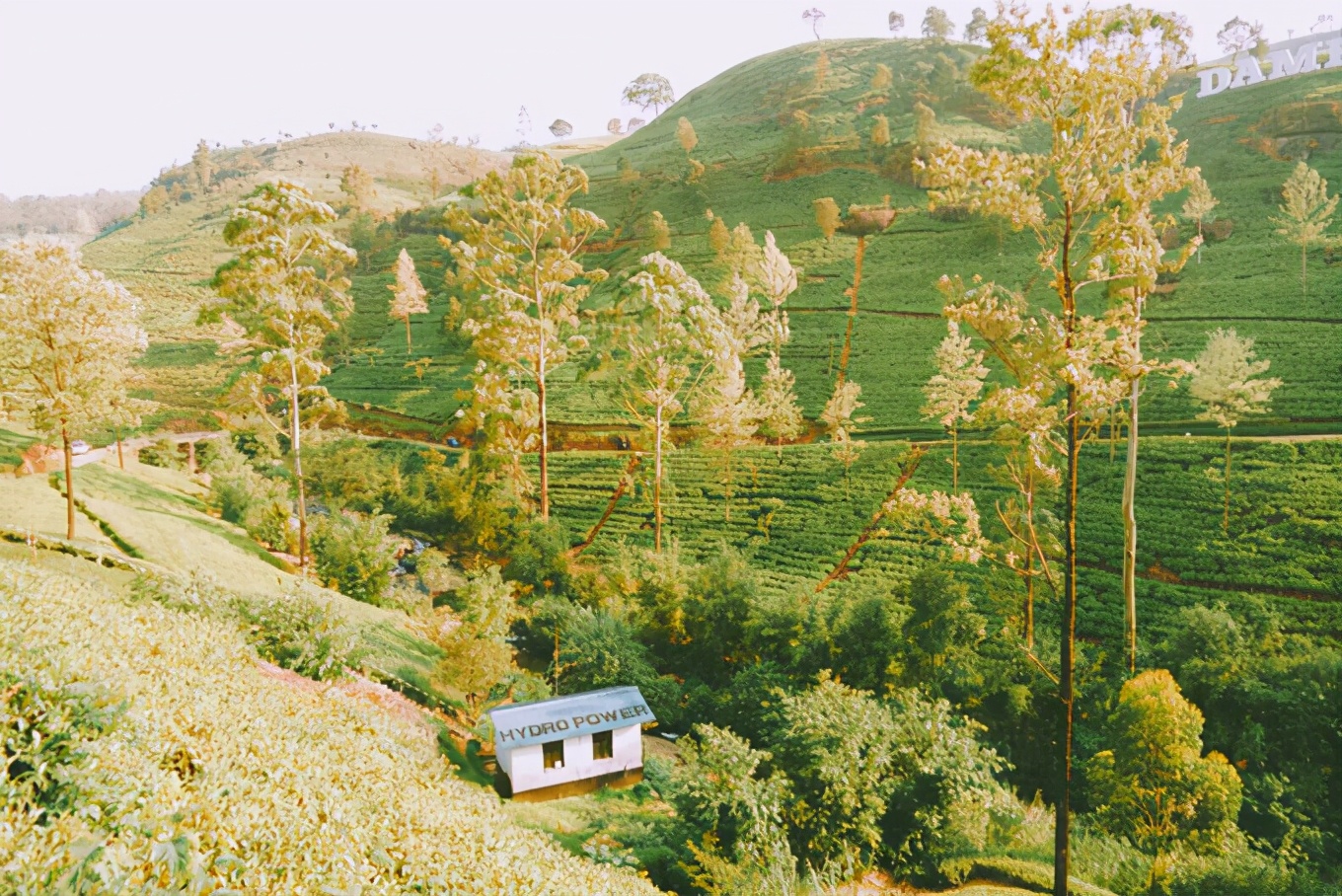 斯里兰卡攻略图片,攻略斯里兰卡旅游最省费用的路线