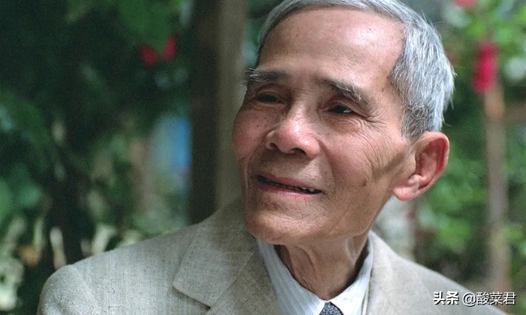 青木瓜之味越南完整,青木瓜之味原版