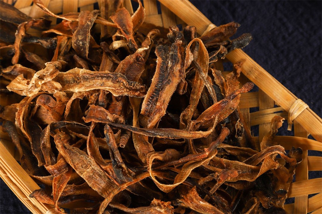 在农村电蚯蚓一天能赚多少钱,电蚯蚓一年能挣多少钱