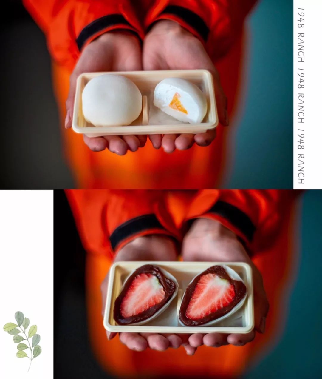 隐匿于大连的这片清澈之地，看的是蓝天白云，呼吸的是草木芬芳