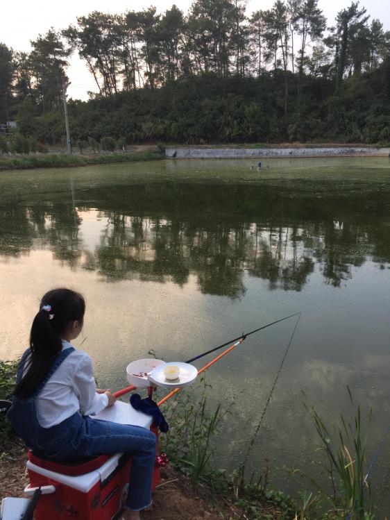 汀粉二代出征，神鹤轻强硬喜获佳绩