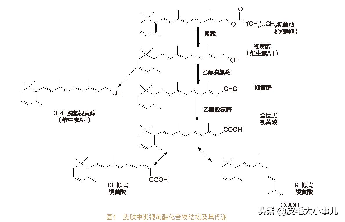 油痘肌是用vc还是a醇,油痘肌可以用视黄醇吗