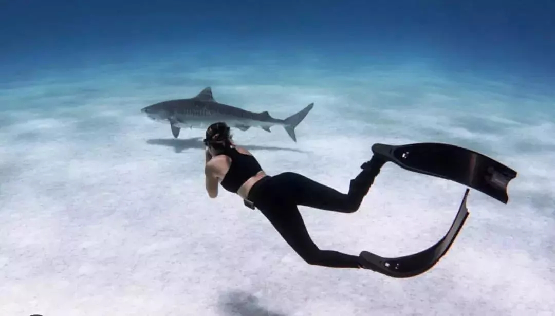 此生必去最美的地方,此生必去的四个海