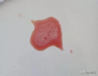 猫一直吐是什么原因引起的,母猫和小猫都呕吐是什么原因