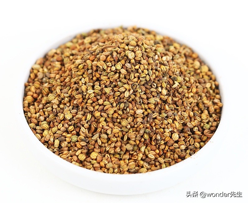 洋茴香和安息茴香是什么？组方高手怎么善用大小茴香