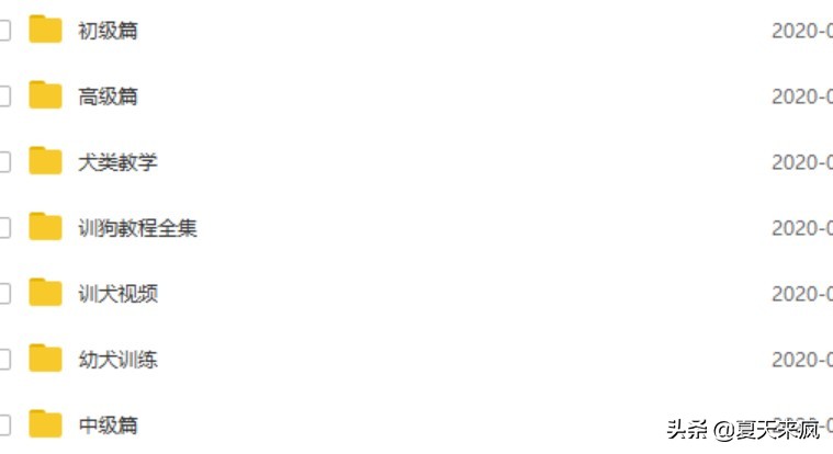 训狗教程视频训犬神器,训犬一点通训狗教程视频