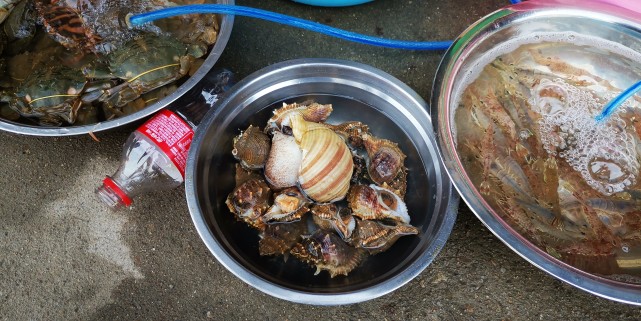 福州最便宜的海鲜渔村,福建海鲜最多的地方是哪里