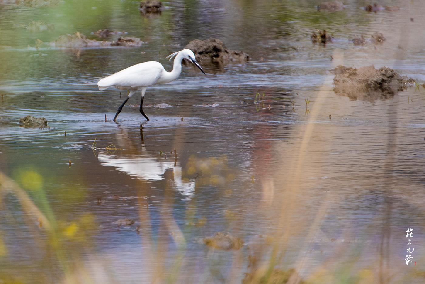 明朝留下来的水缸多少钱,明代的澡堂