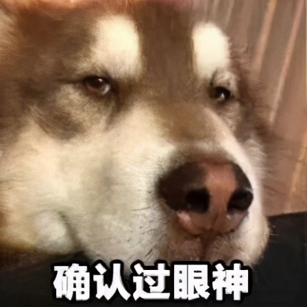 二次元只知“J佬紫”？在动漫界，你怕是要被除名