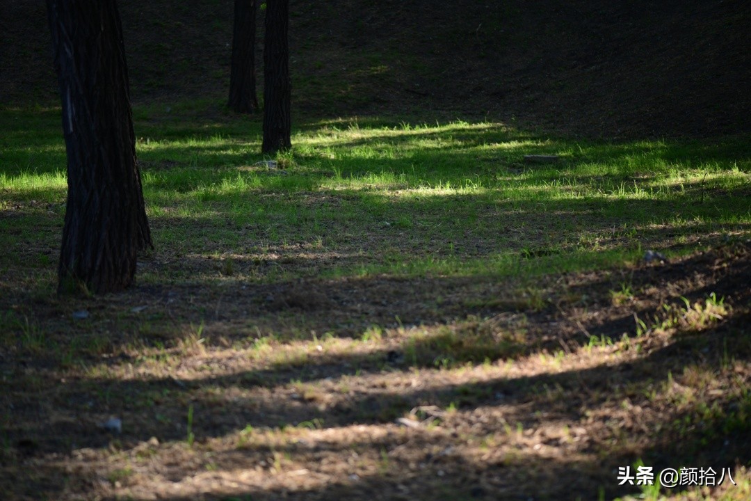 北京圆明园一日游推荐,圆明园秋色如画