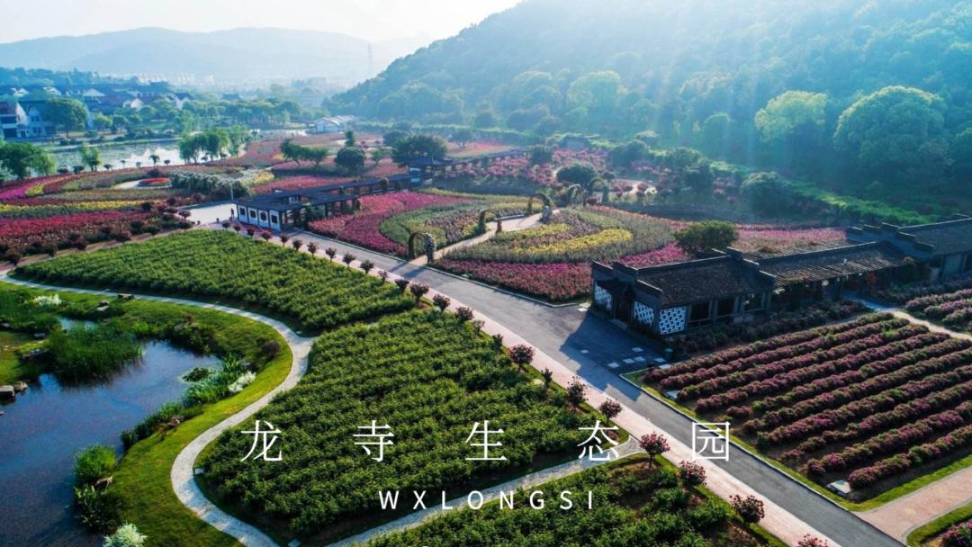 鏃犻敗鍦伴搧浼樻儬,鏃犻敗鍦伴搧浼樻儬娲诲姩鏄庣粏