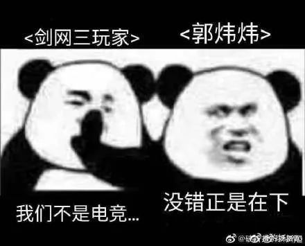 剑网3电竞选手,剑网三在游戏界的地位