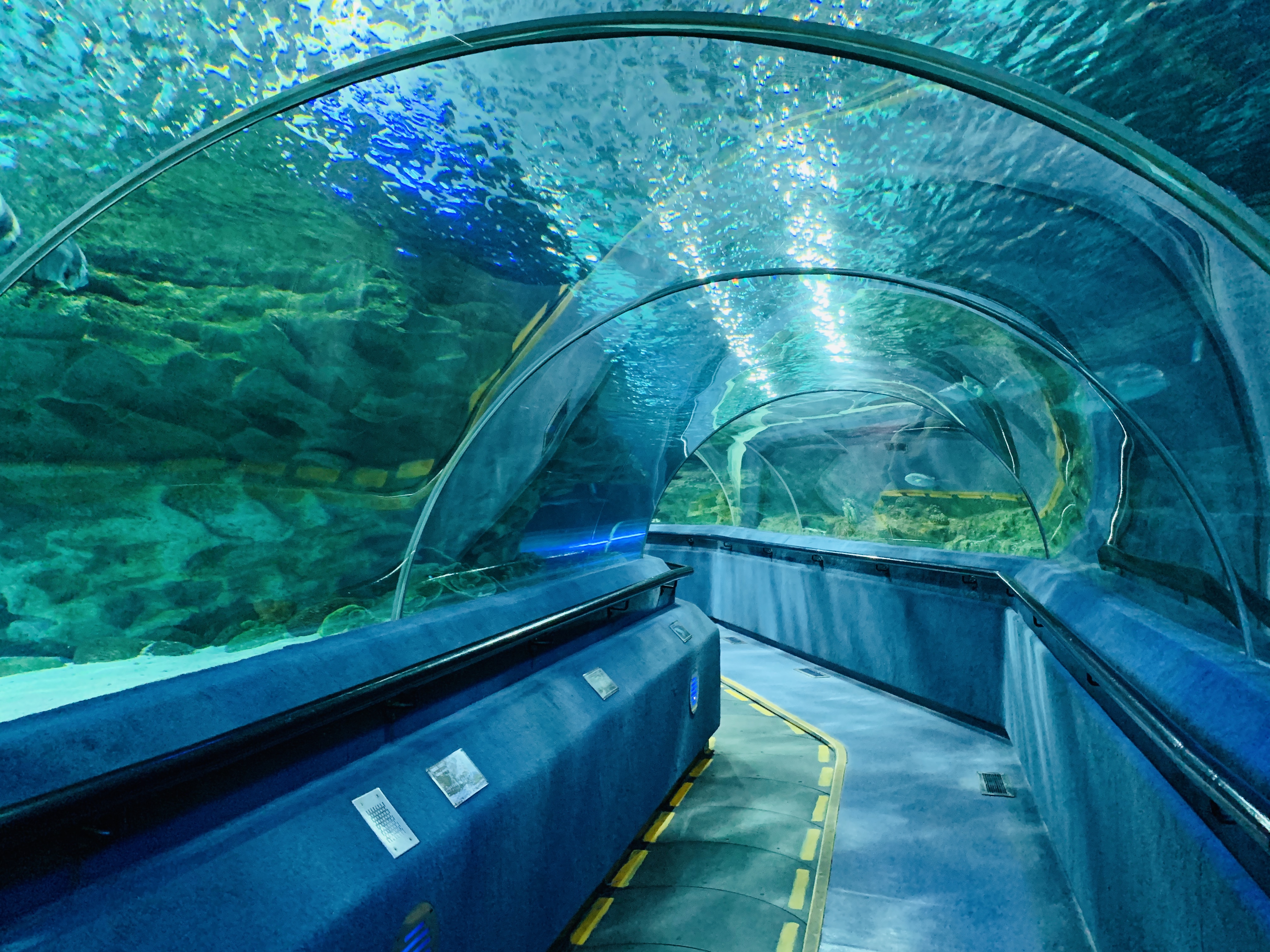 北京富国海底世界周围景点,工体富国海底世界游览攻略