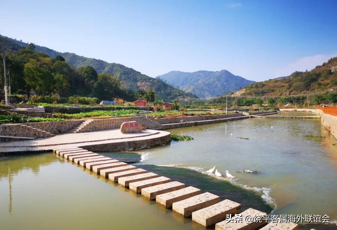 广东饶平客家话视频,客家话台湾