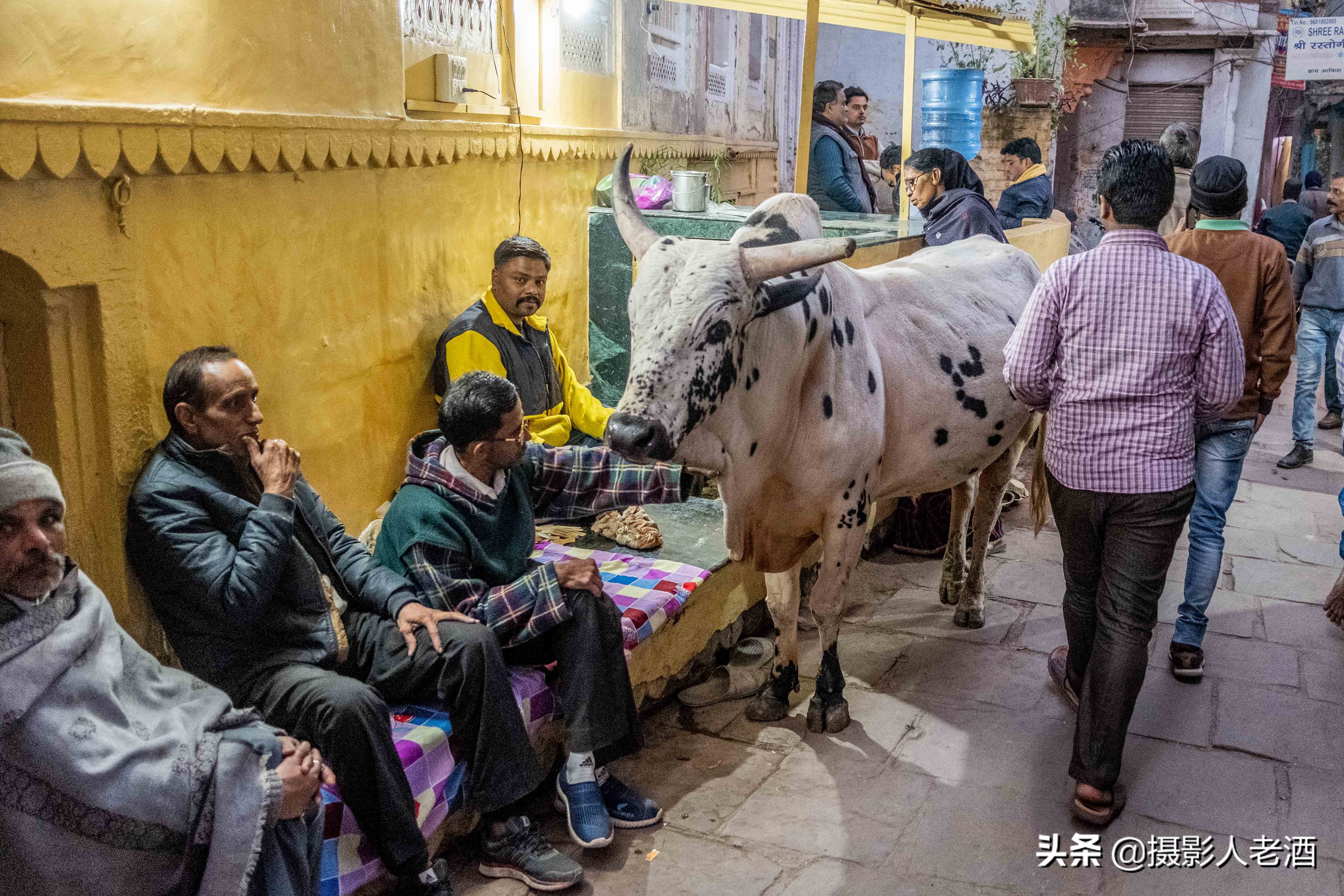 印度的印度教人吃牛肉吗,印度为什么不吃牛肉的地理原因