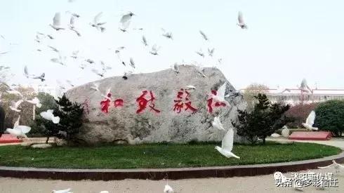 沭阳南部城市,沭阳城北有没有发展