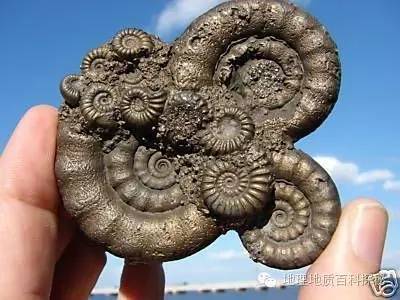 鬼斧神工地质遗珍视频,鬼斧神工的地质