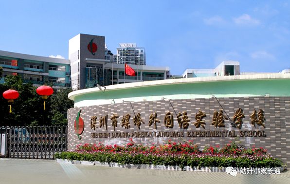 深圳最好的十大民办小学,深圳最好的小学排名一览表