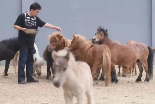 于谦北京养马场,于谦养王八