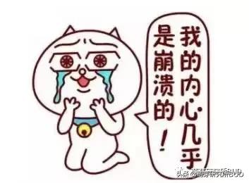 亲子不过夜露营必备物品清单,户外露营小攻略2人