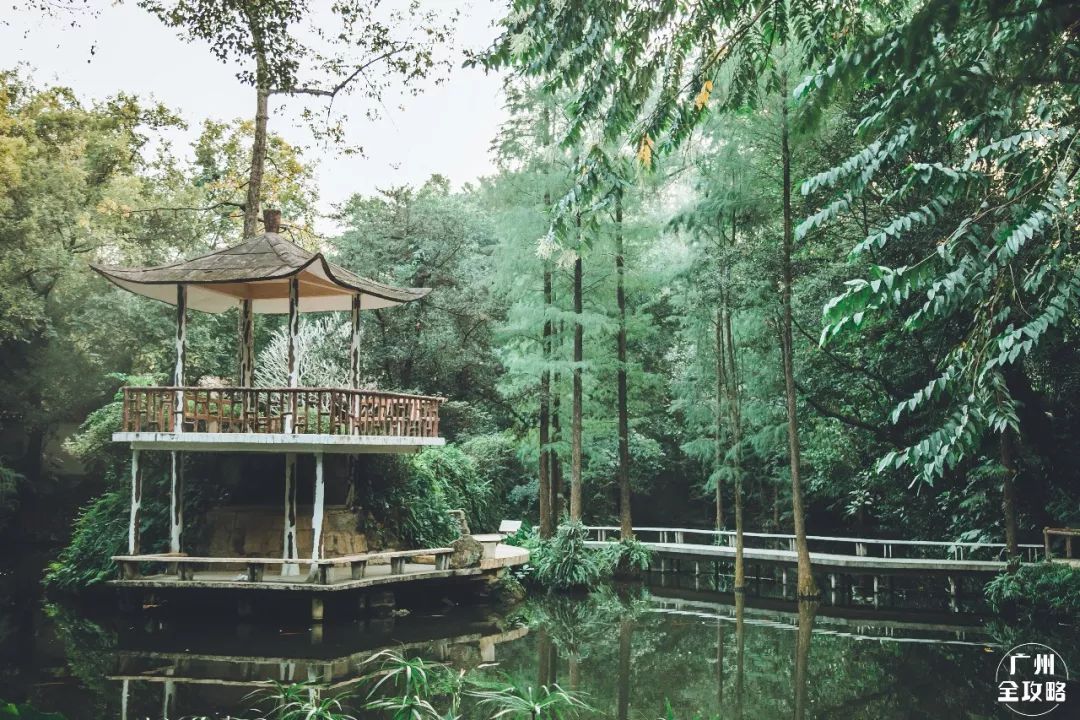 宝藏新公园周末好去处快来打卡,必打卡的宝藏公园