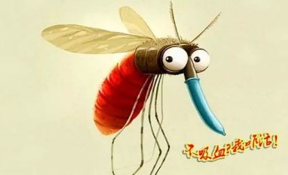 家里窗户都关着蚊子怎么进来的,家里关着纱窗为什么还有蚊子