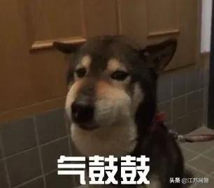 江苏南京代购衣服,代购买的包一直没收到货怎么办