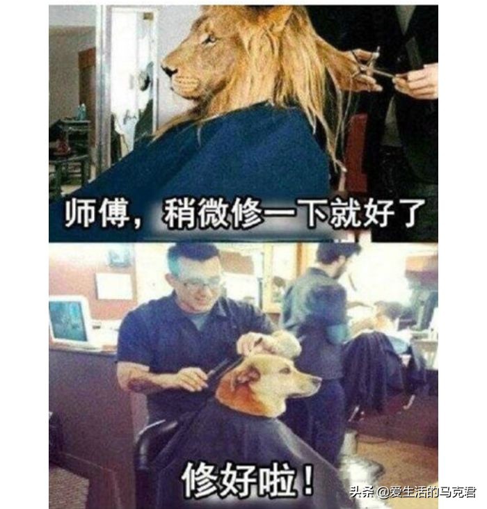 推荐欧莱雅,欧莱雅新款发泥