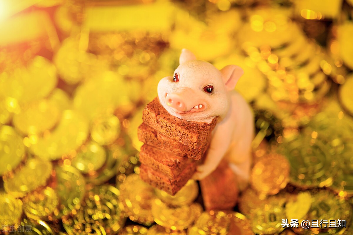 记住5点懂了就可以变富,慢慢变富的基本步骤