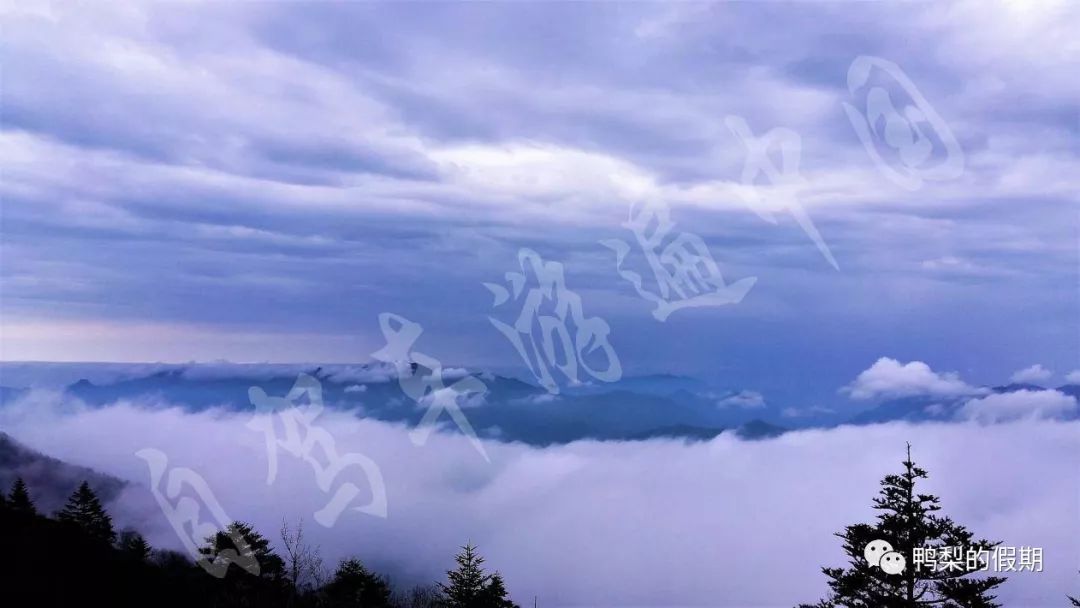 自驾车游遍中国之（一）——世界那么大，我想去神农架