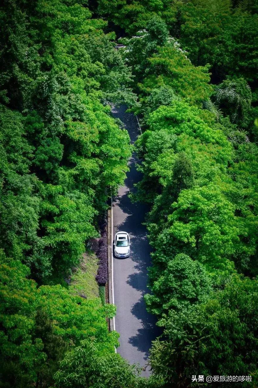 中国最美十大自驾线路,中国最美的七条自驾游路线