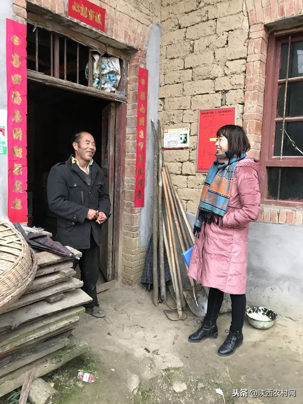 李兰和老刘的春天在哪里,中医老刘的春天