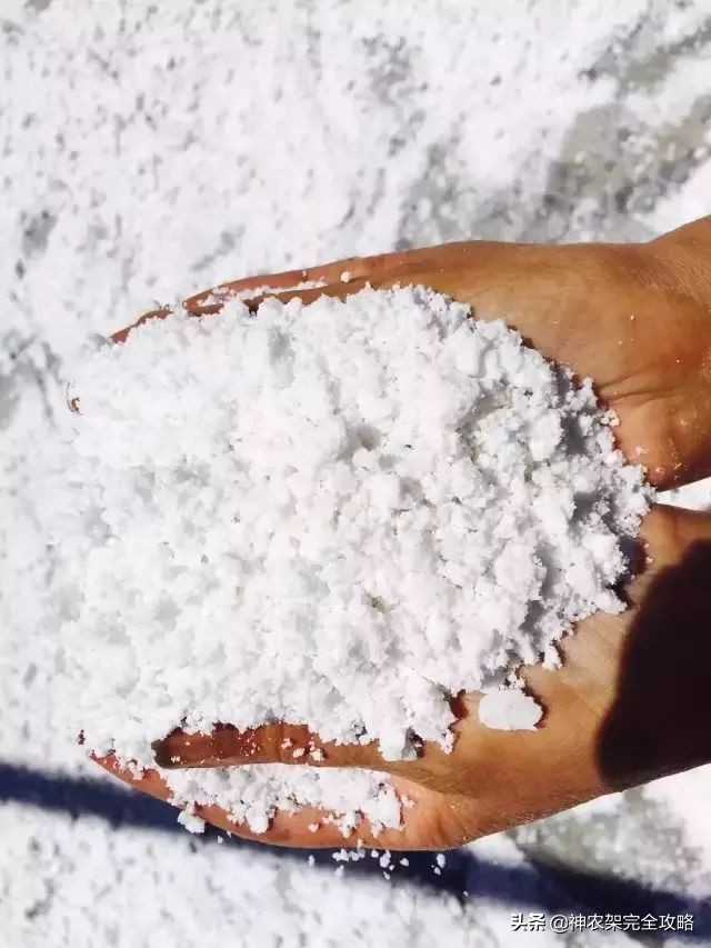 神农架前世今生,神农架祖先是谁