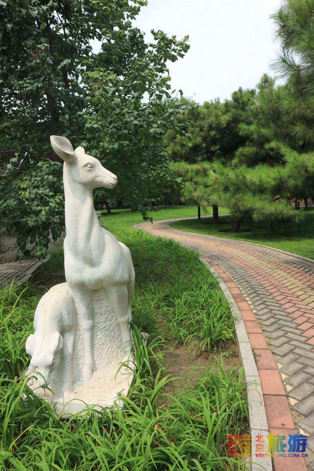 免费！市区就有“小森林”，花海芳香扑鼻！还有美好的祝福送给你