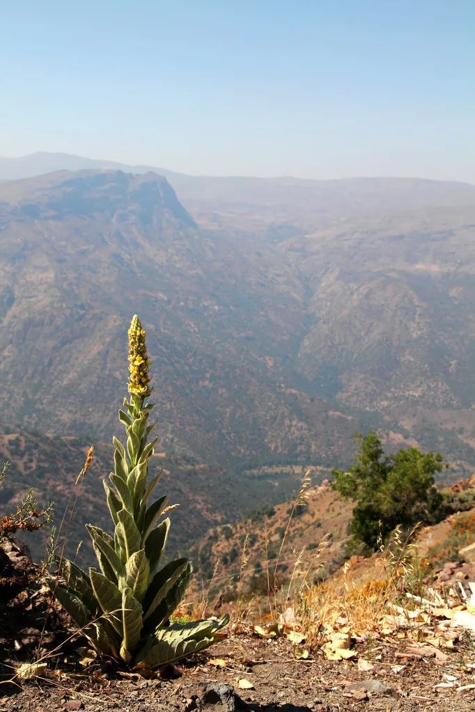 你知道世界最美的地方在哪里吗,欣赏世界上最美的80个地方