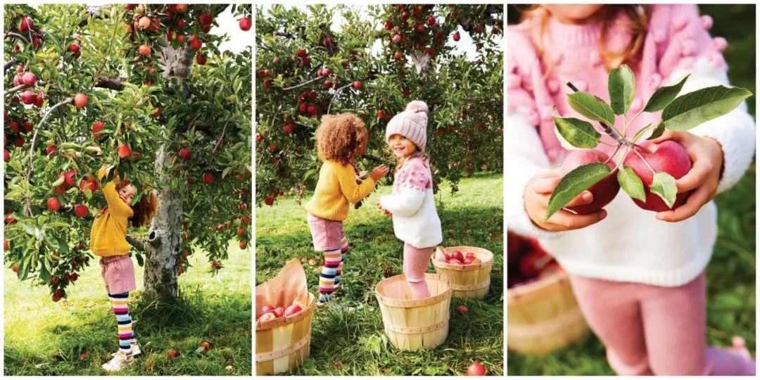 亲子手工夏日美食,亲子手工美食