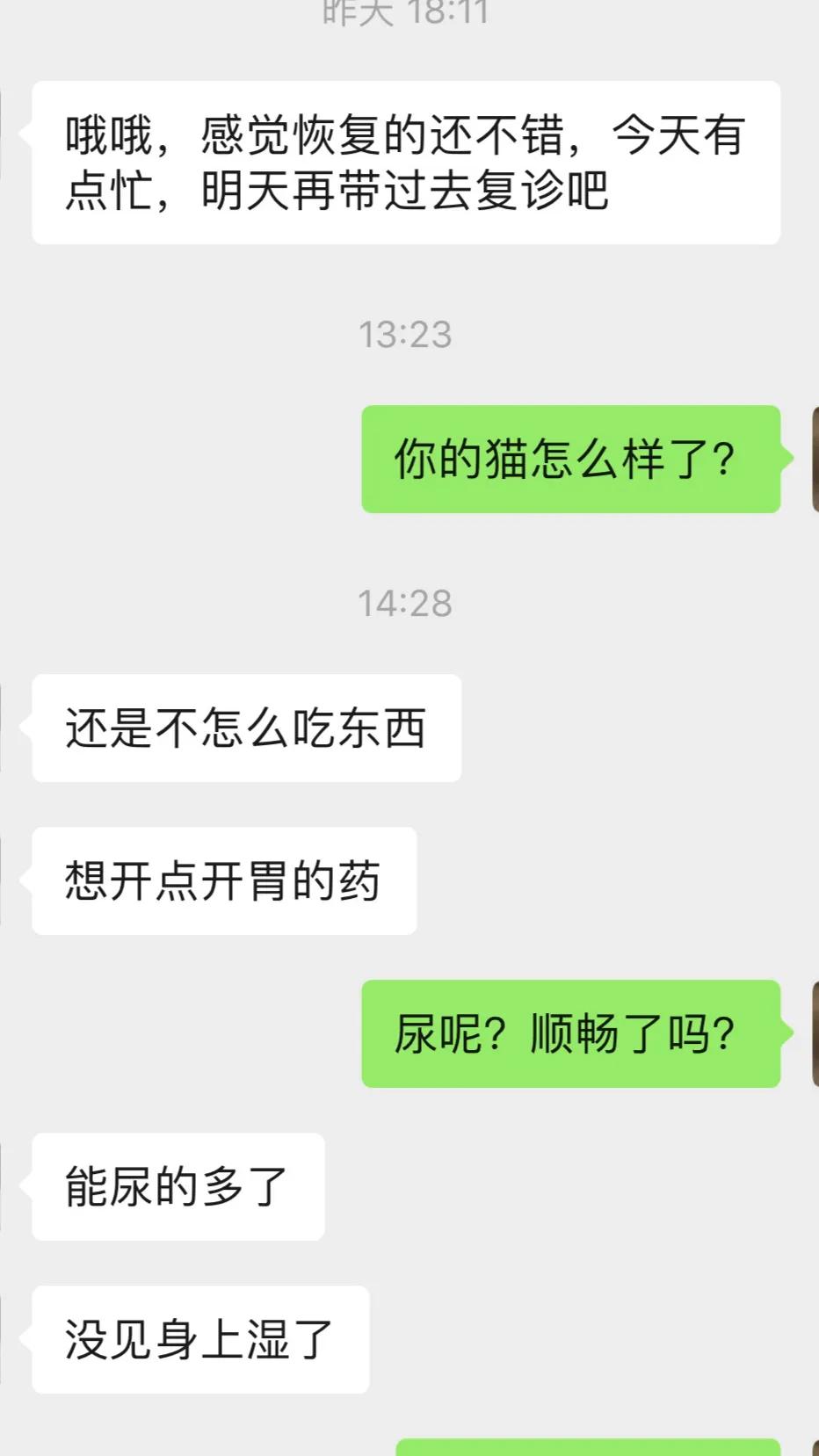 猫咪尿血尿闭导尿后怎么治疗,怎么预防猫咪尿闭症
