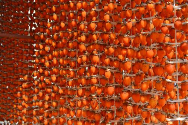 明珠蒙尘：曾是我国的“铁杆庄稼”浑身是宝，现在掉一地无人捡？