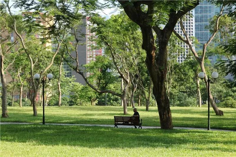 深圳莲花山真的美,深圳莲花山有什么特别的地方