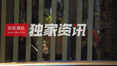 赵薇向男友人索吻,赵薇遭猴子索吻