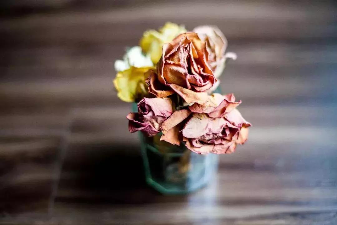 适合干花的装饰,简单的干花装饰