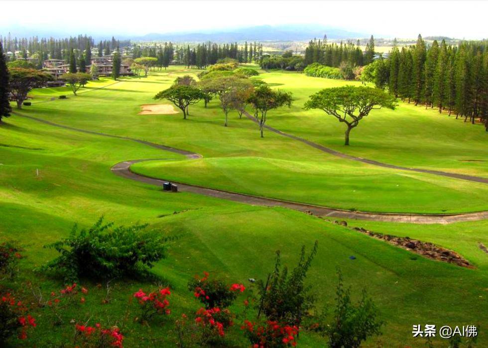 美国圆石滩高尔夫球场,美国高尔夫球场数量
