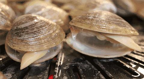 北方的美食,北方的好吃东西